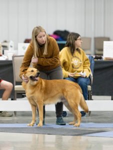 handling class (9 of 40)