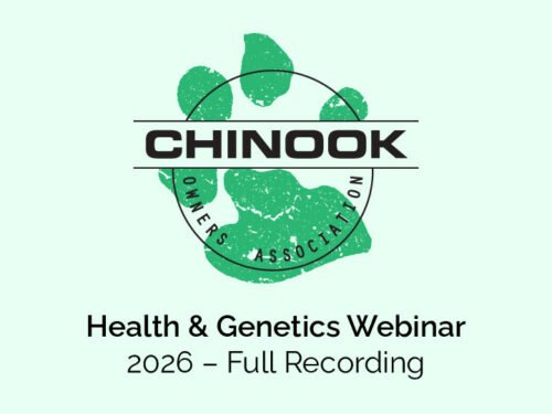 webinar-meeting-image