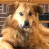 Profile picture of Lynda McLaughlin