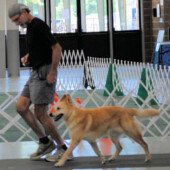 Hurricane Freyja Rain - Parade of Titleholders