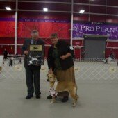 Bashaba Sky - National Best of Breed