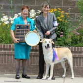Laughing Mountain (Moonshadow) - Champion of Champions