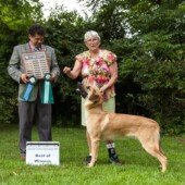 Forever Greene Atka - Best of Winners