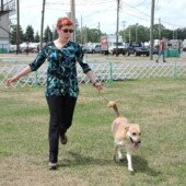 Skyland Sweet Dominica (Nica) - Champion of Champions