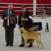 MountainThunder Doc Holliday (Doc) - Best Male