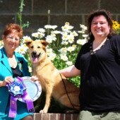 Bashaba Naunbat Nashira - Best Cross of Breed