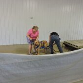 Weight Pull - Harper