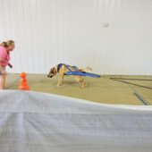 Weight Pull - Harper