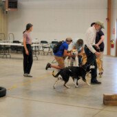Pulling Seminar
