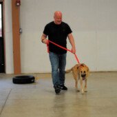 Pulling Seminar - Bella