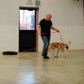 Pulling Seminar - Bella