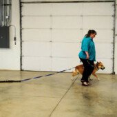 Pulling Seminar - Hawkeye