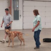 Pulling Seminar - Jagger