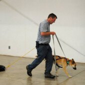 Pulling Seminar - Nukka