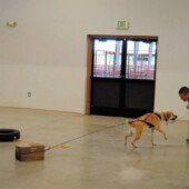 Pulling Seminar - Nukka