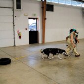 Pulling Seminar - Storm