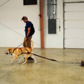 Pulling Seminar - Toby