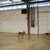 Pulling Seminar - Qivi