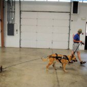 Pulling Seminar - Zirks