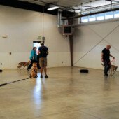 Pulling Seminar