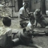 Chinooks of the 1930's