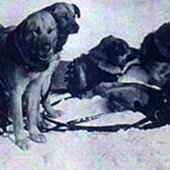 Chinooks of the 1920's