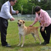 John Habermehl and Doc