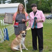 Alisa Druzba and Saga win Best Puppy, Male