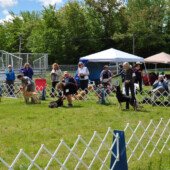 Junior females strut their stuff