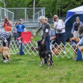 Best female competitors