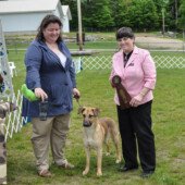 Karen and Tikaani win Grand Champion (and Altered National Best of Breed)