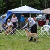 Grand Champion class Patti Richards & Atka, John Habermehl & Sky, Diana Fowler & Luna