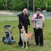 Diana Fowler & Luna win National Best of Breed