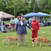 Impromptu Nosework competition with Karen Hinchy and Conway