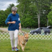 Holleran & Birr gait around the ring for an Altered National Best of Breed