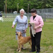 Patti Richards and Qannik win Altered Champion