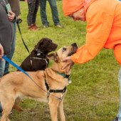 Kris judges chesterh Sweetie Award