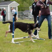 High jump