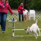 High jump
