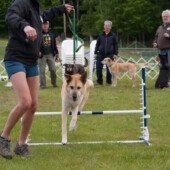 High jump
