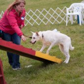 Obstacle course