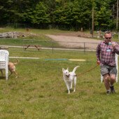 Egg & spoon race