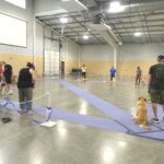 Handling class
