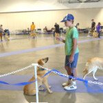 Thea and her junior handler