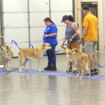 Malina, Renji, Holly, and Seeley