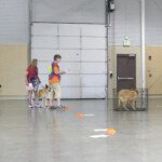 Chelan works toward her SPOT certificate with the help of Chief