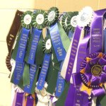 Ribbons soon to be in the hands of some lucky Chinook owners