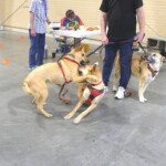 Youngsters Qinu and Quinn having a little fun on the side