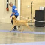 Deb Meese & Qinu