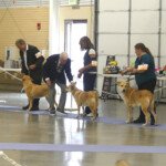 Terra, Enya, & Renji